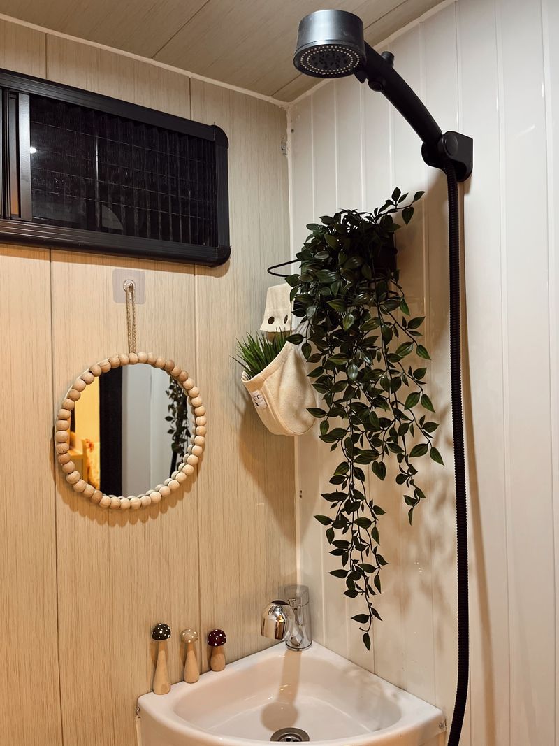 Potted Plant on Bathroom Shelf