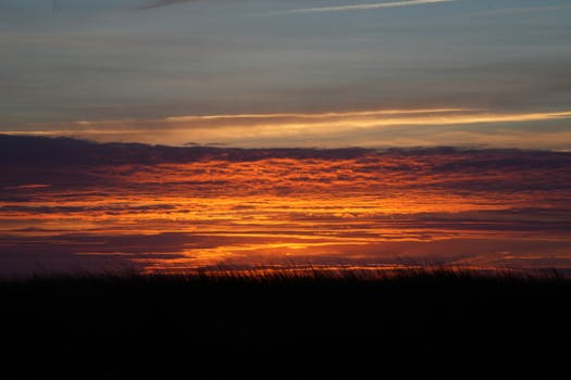 Breathtaking view of a vibrant sunset casting colors over silhouettes of nature.