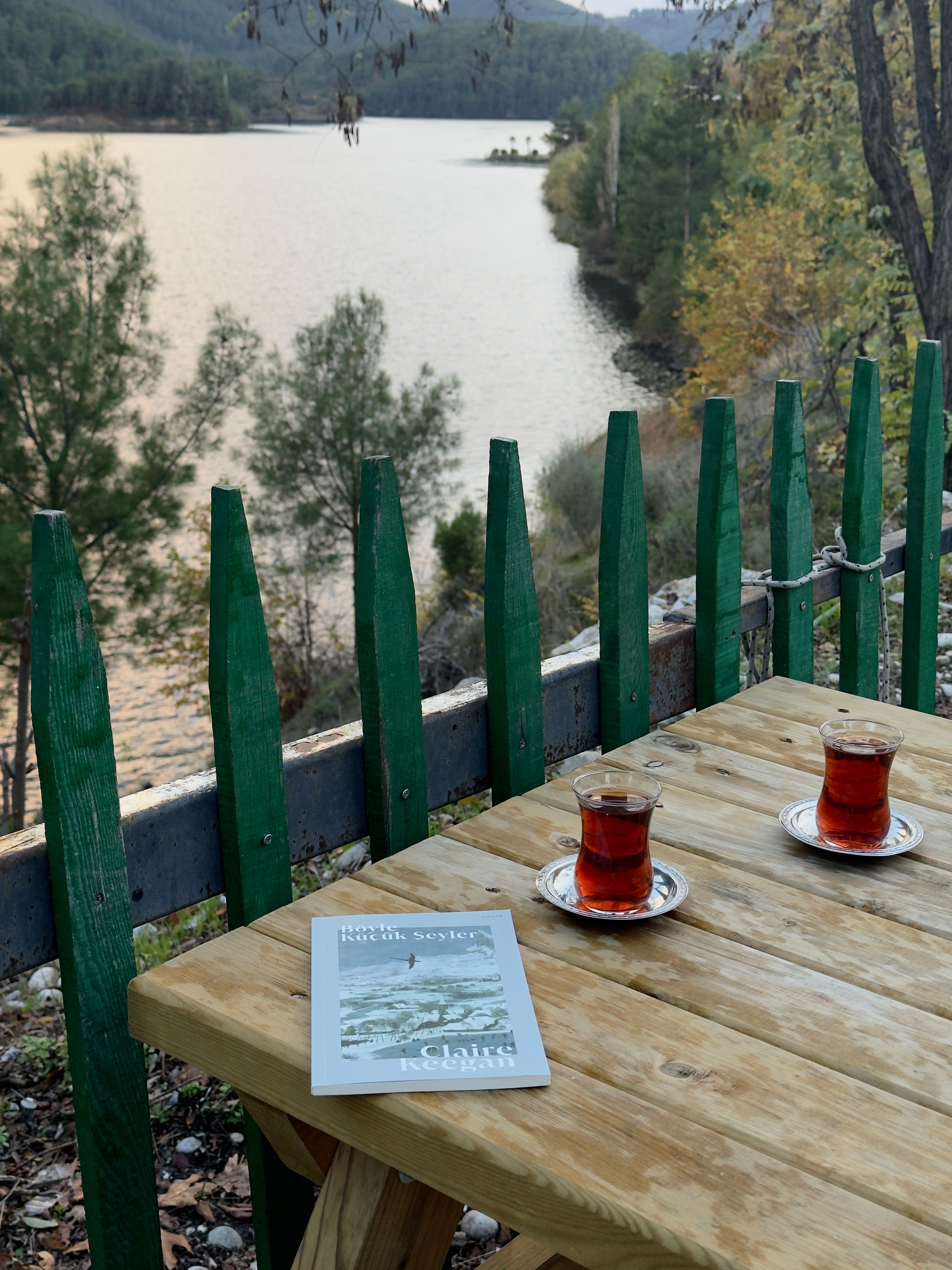 Peaceful lakeside scene with tea and book on wooden table.