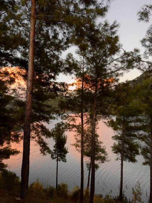 Free Tranquil lake scene with trees and sunset reflections creating a calm atmosphere. Stock Photo
