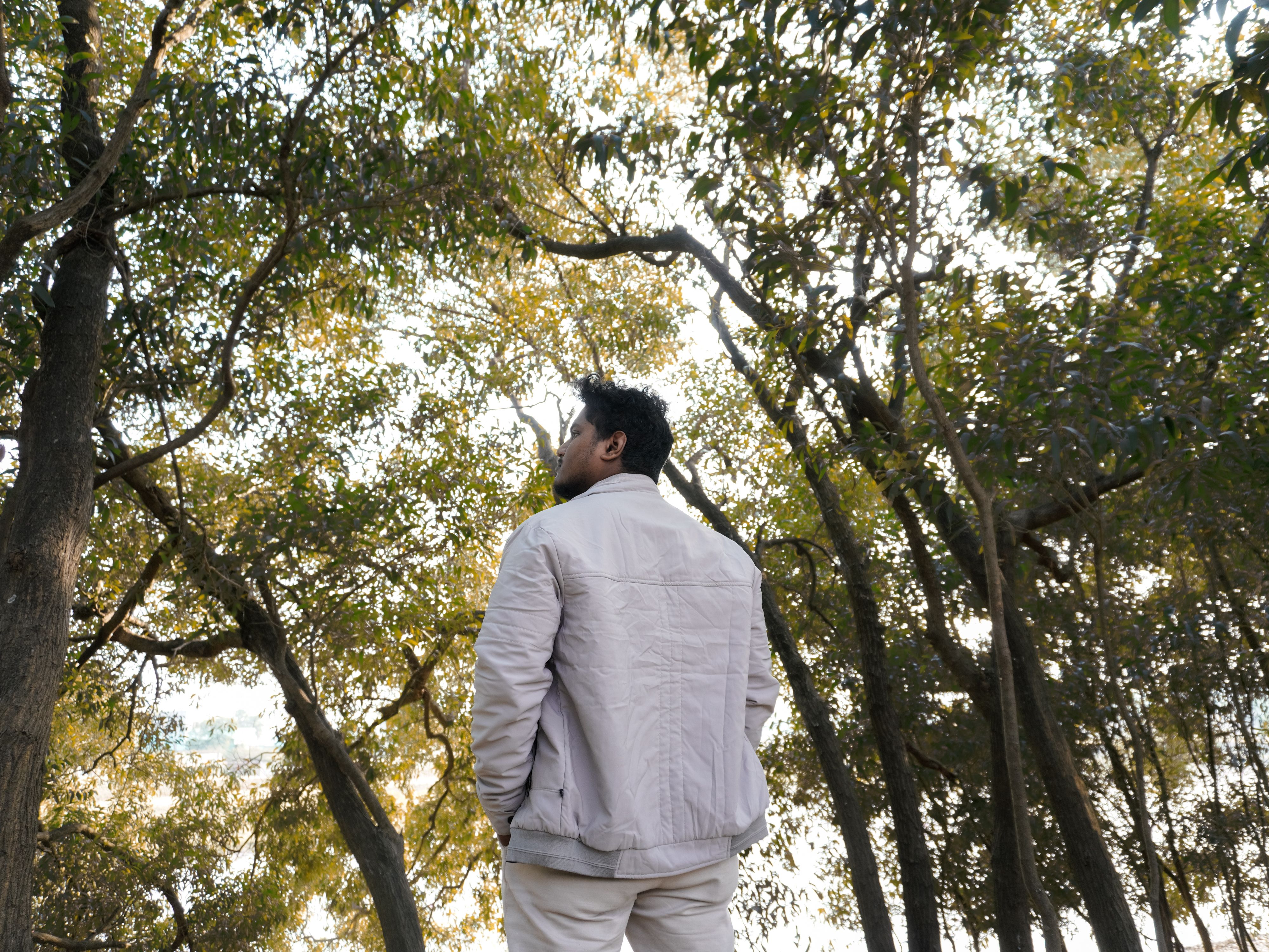 A man in a white jacket enjoying a peaceful walk under the canopy of trees in a forest setting.
