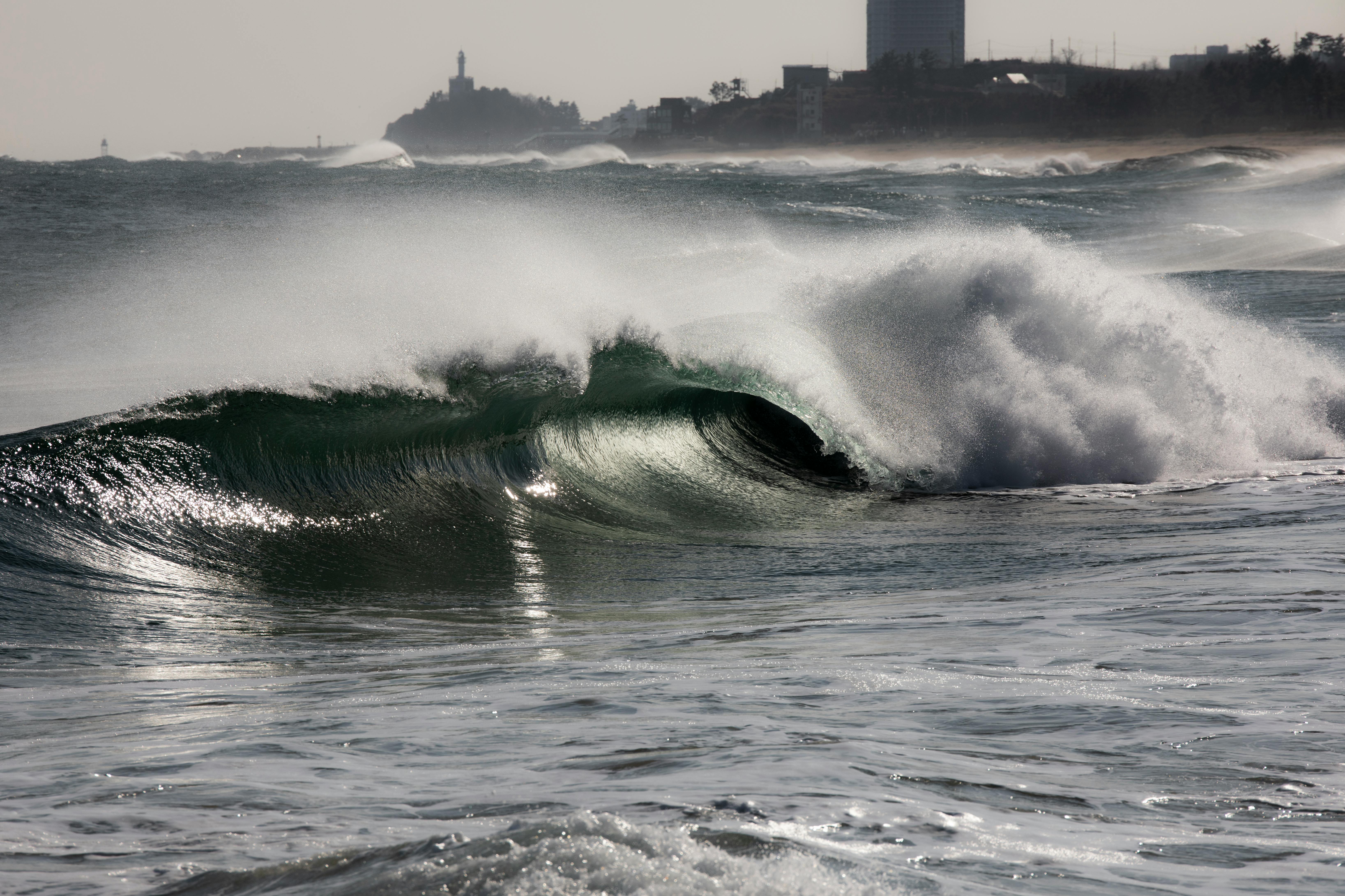 Unlocking the Secret Psychology Behind Successful Call to Action Buttons