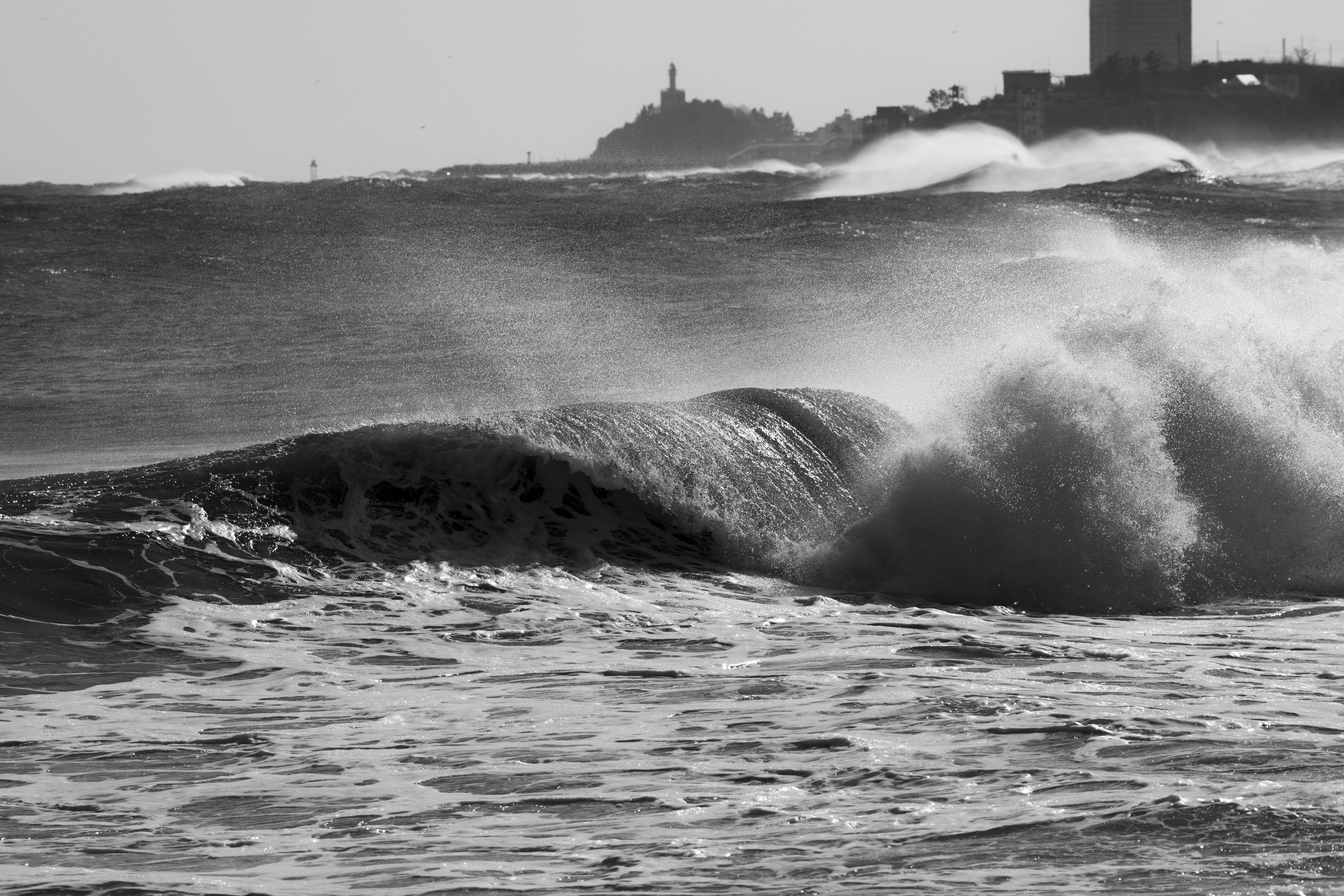 Exploring Rare Ocean Mysteries: A Deep Dive into the Unknown