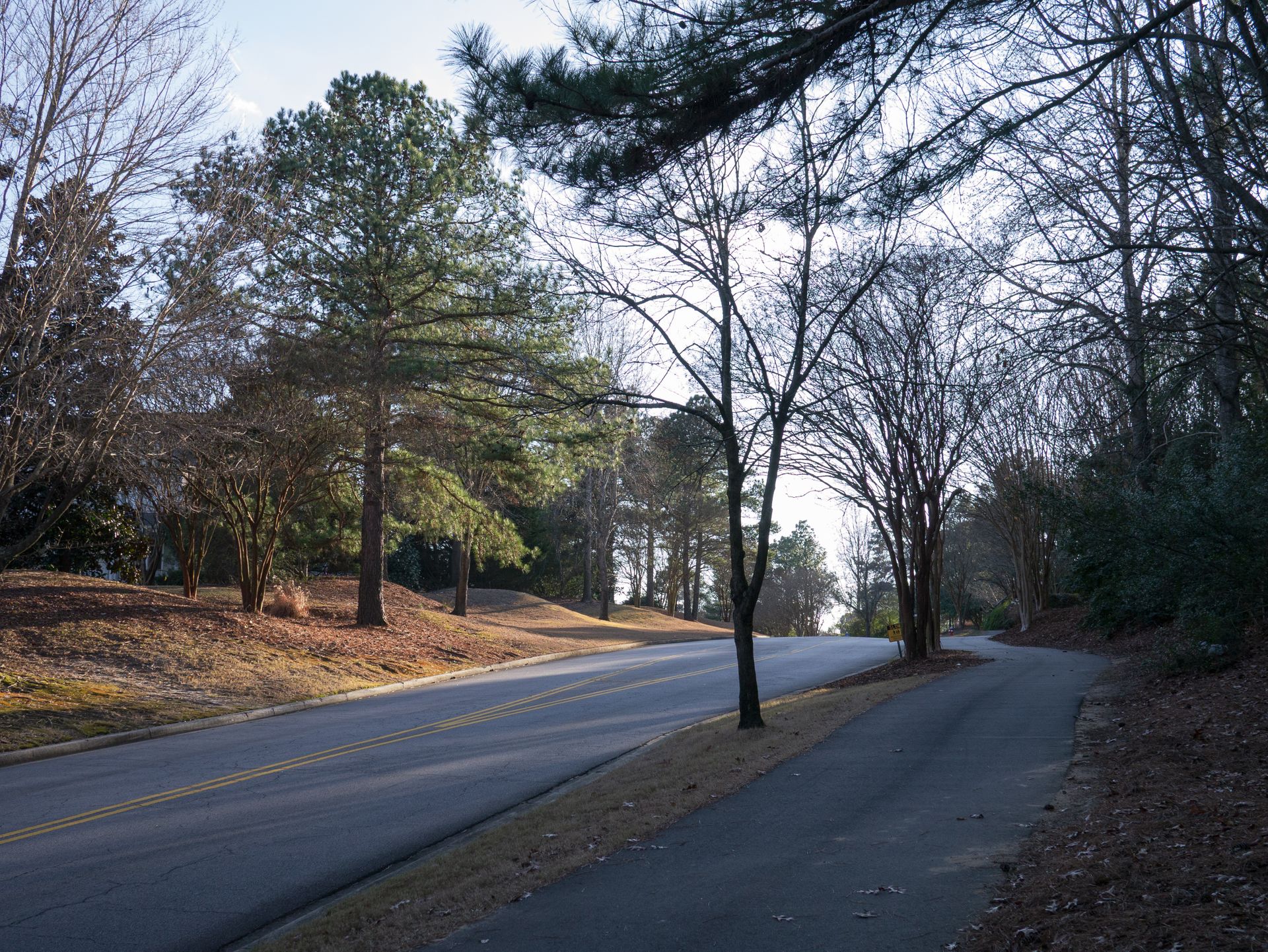 Sawmill Branch Road Summerville, Sawmill Branch Road Summerville SC — neighborhood review