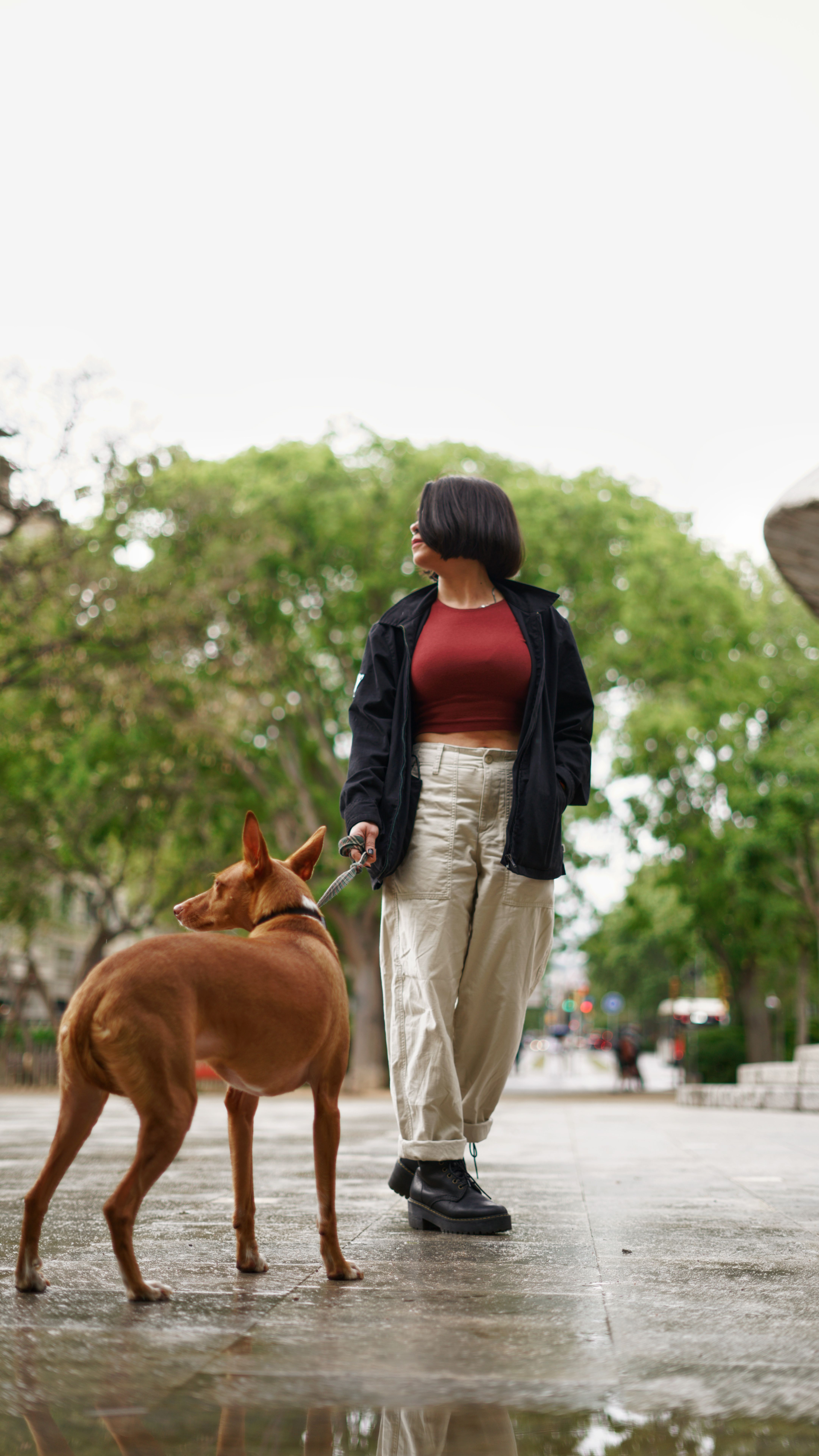 Person walking a medium dog on a leash outdoors