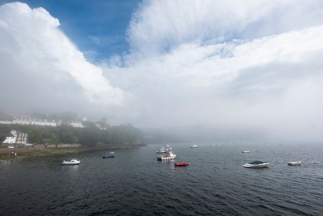 Shared photo of a misty harbour — photo by Felix-Antoine Coutu on Pexels
