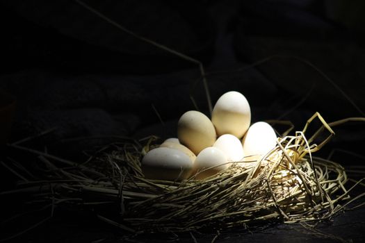A rustic nest filled with eggs, captured under dramatic lighting.