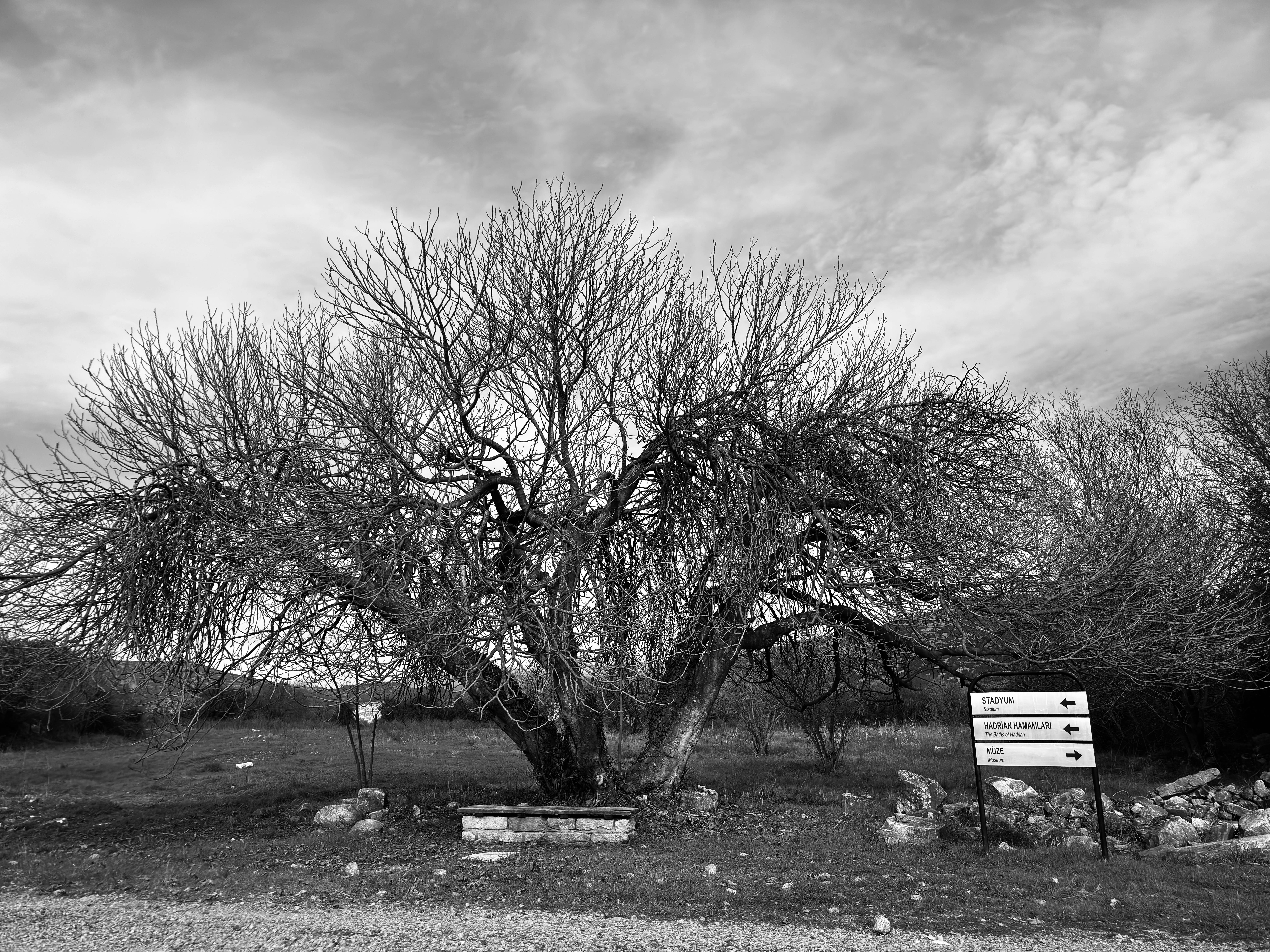 Perfumery and Art: Crafting Scents as a Form of Artistic Expression