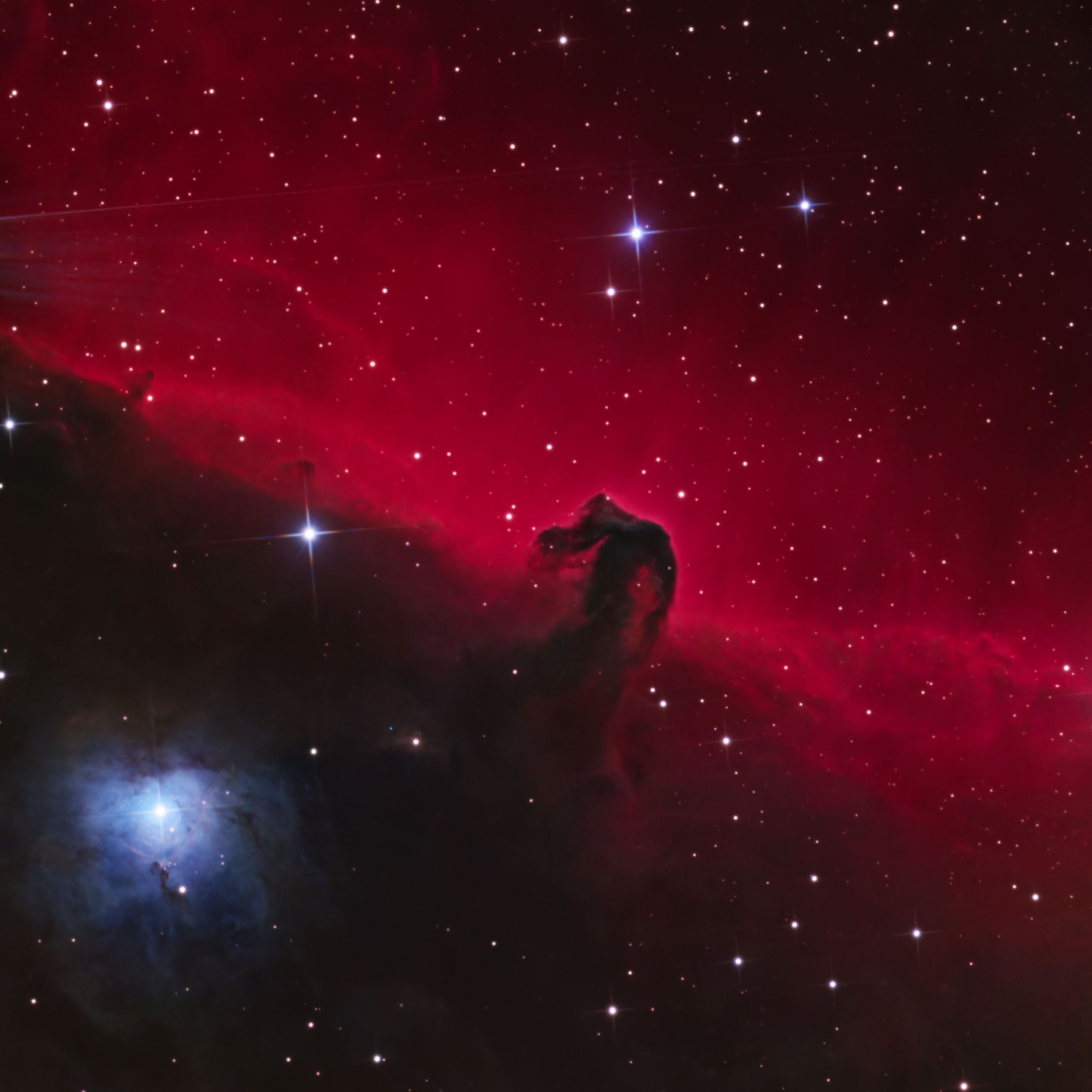 Stunning View of the Horsehead Nebula in Orion · Free Stock Photo