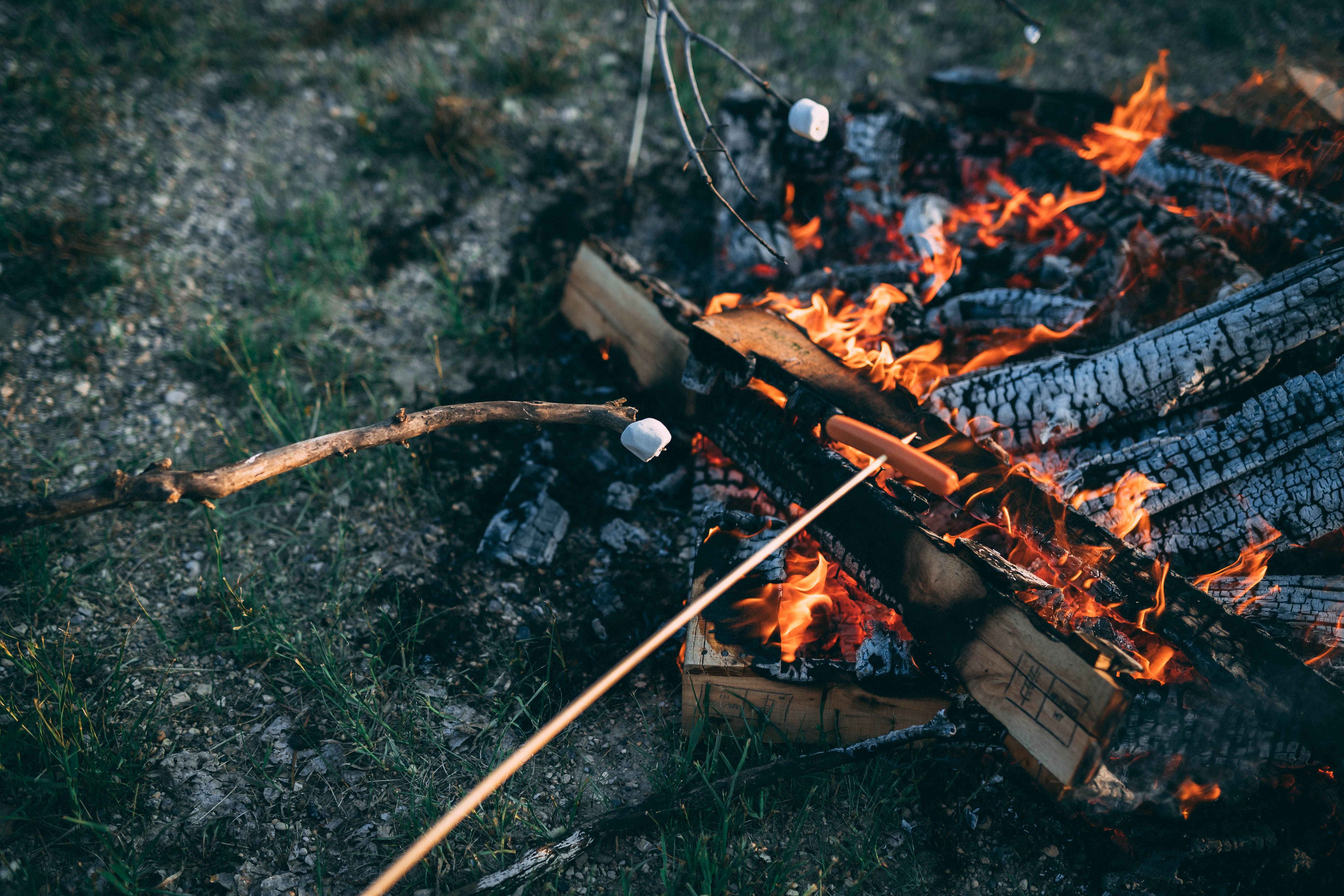 Free A cozy campfire scene with marshmallows and hotdogs roasting over an open flame, creating a warm outdoor atmosphere. Stock Photo