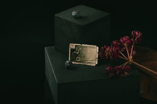 Dark still life by Vural Yavas on Pexels