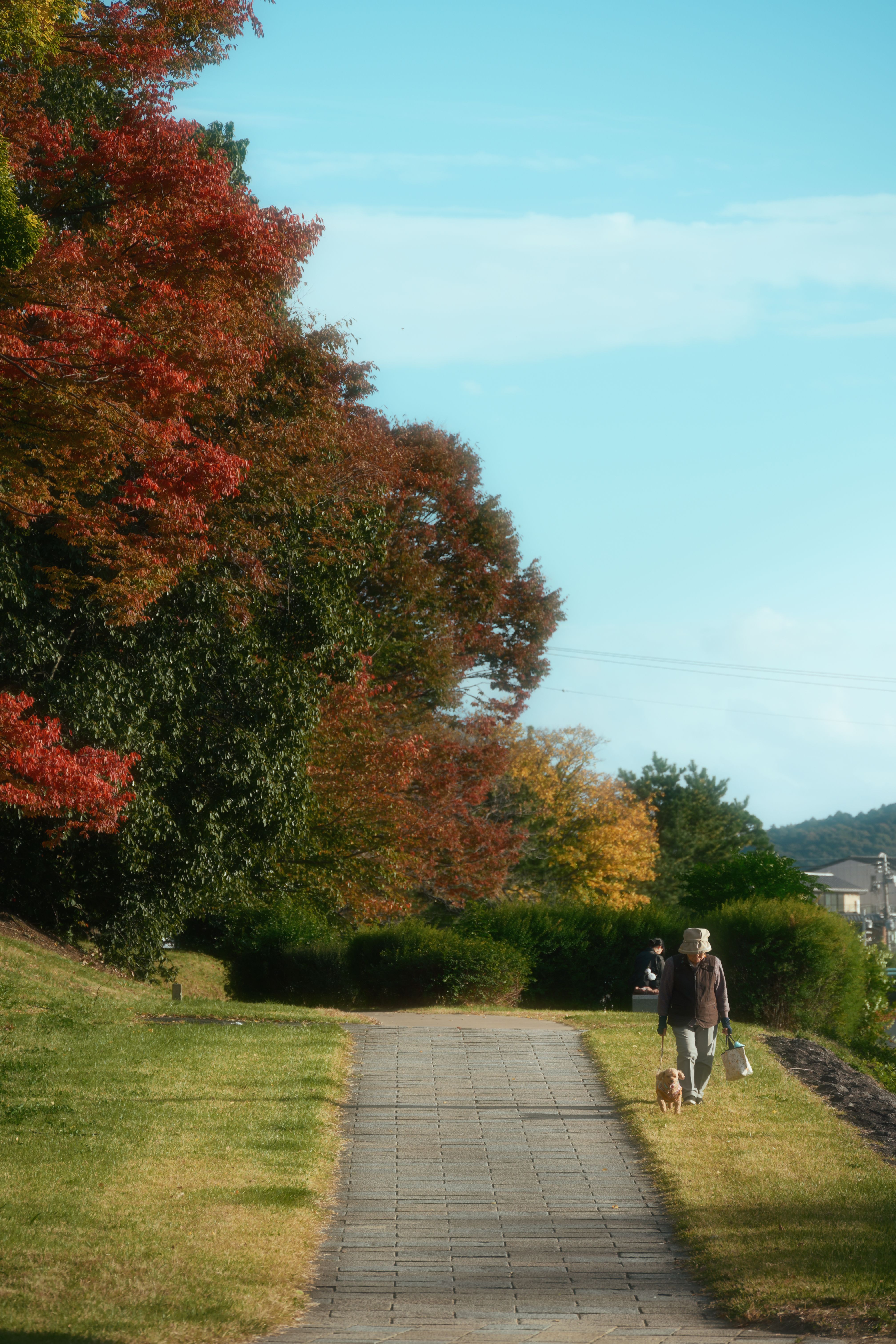 5,631+以上の無料歩く人画像