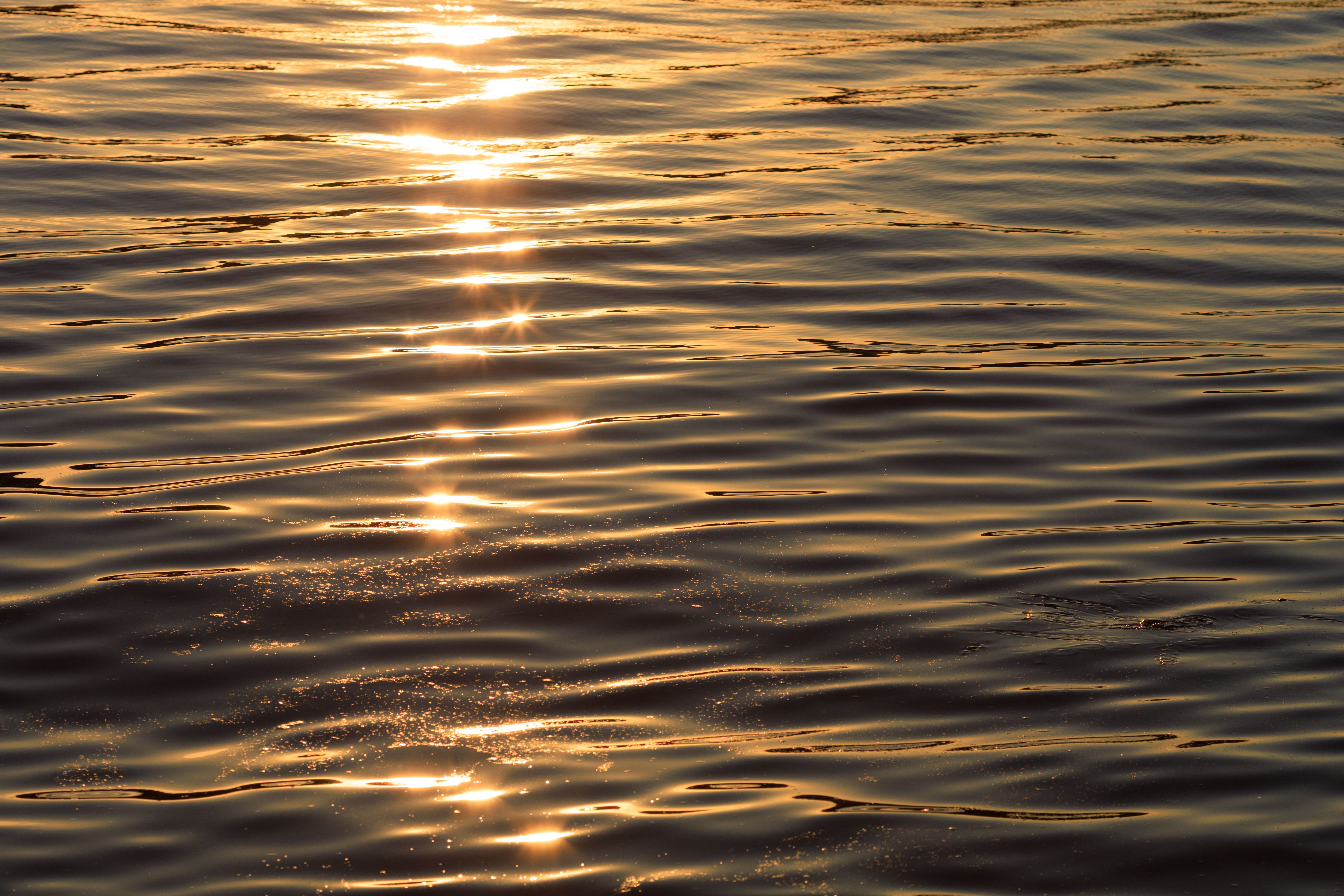 Golden Sunset Reflected on Gentle Water Ripples · Free Stock Photo