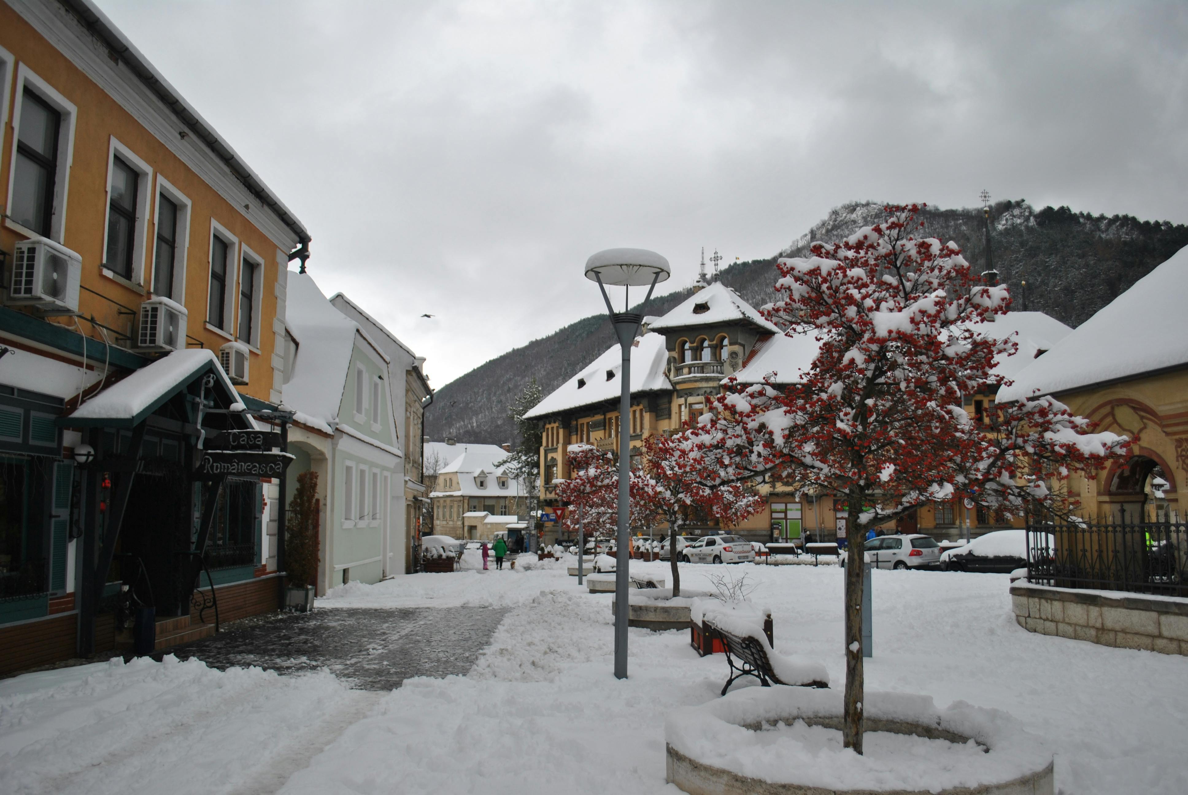 Route sinueuse à la Réunion