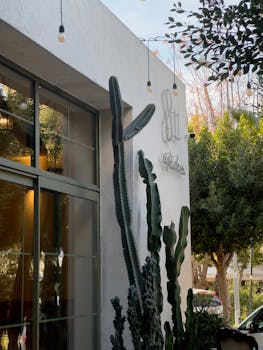 A chic outdoor cafe with cacti, string lights, and modern decor, perfect for relaxation.