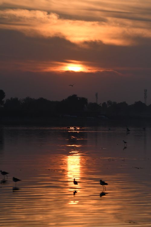Serene Sunset Over Tranquil Lake Waters · Free Stock Photo