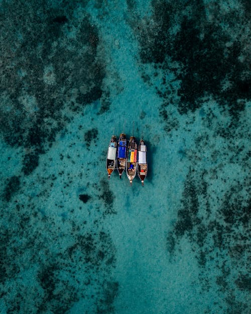 grátis Quatro Barcos No Mar Foto profissional