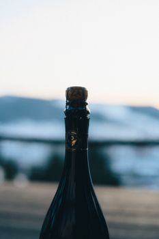 A sealed champagne bottle with cork in an outdoor setting, framed by blurred natural background.