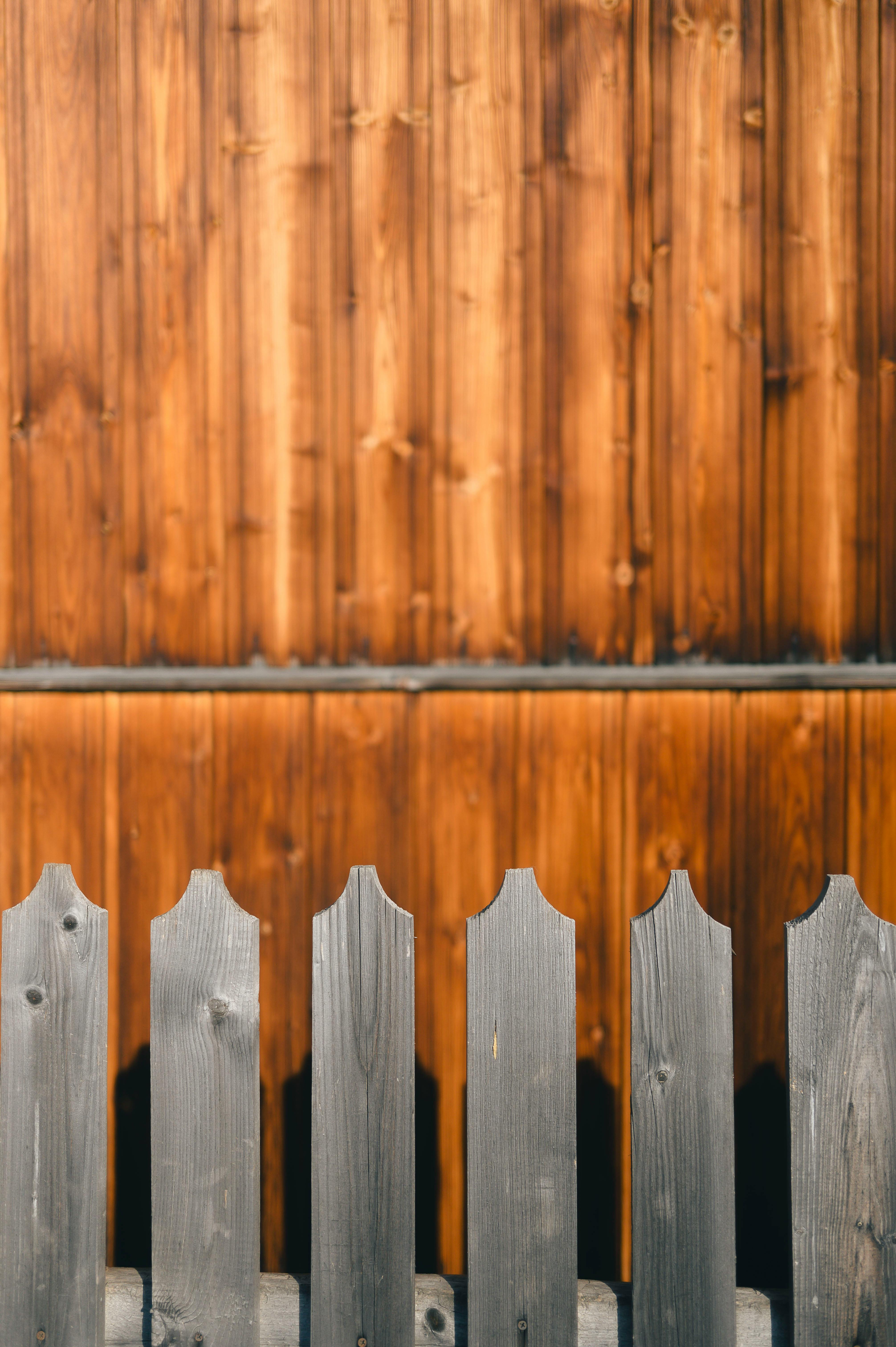 Kostnadsfria Närbild av ett rustikt grått trästaket som kontrasterar mot en varm cederträvägg i mjukt naturligt ljus. Stock foto