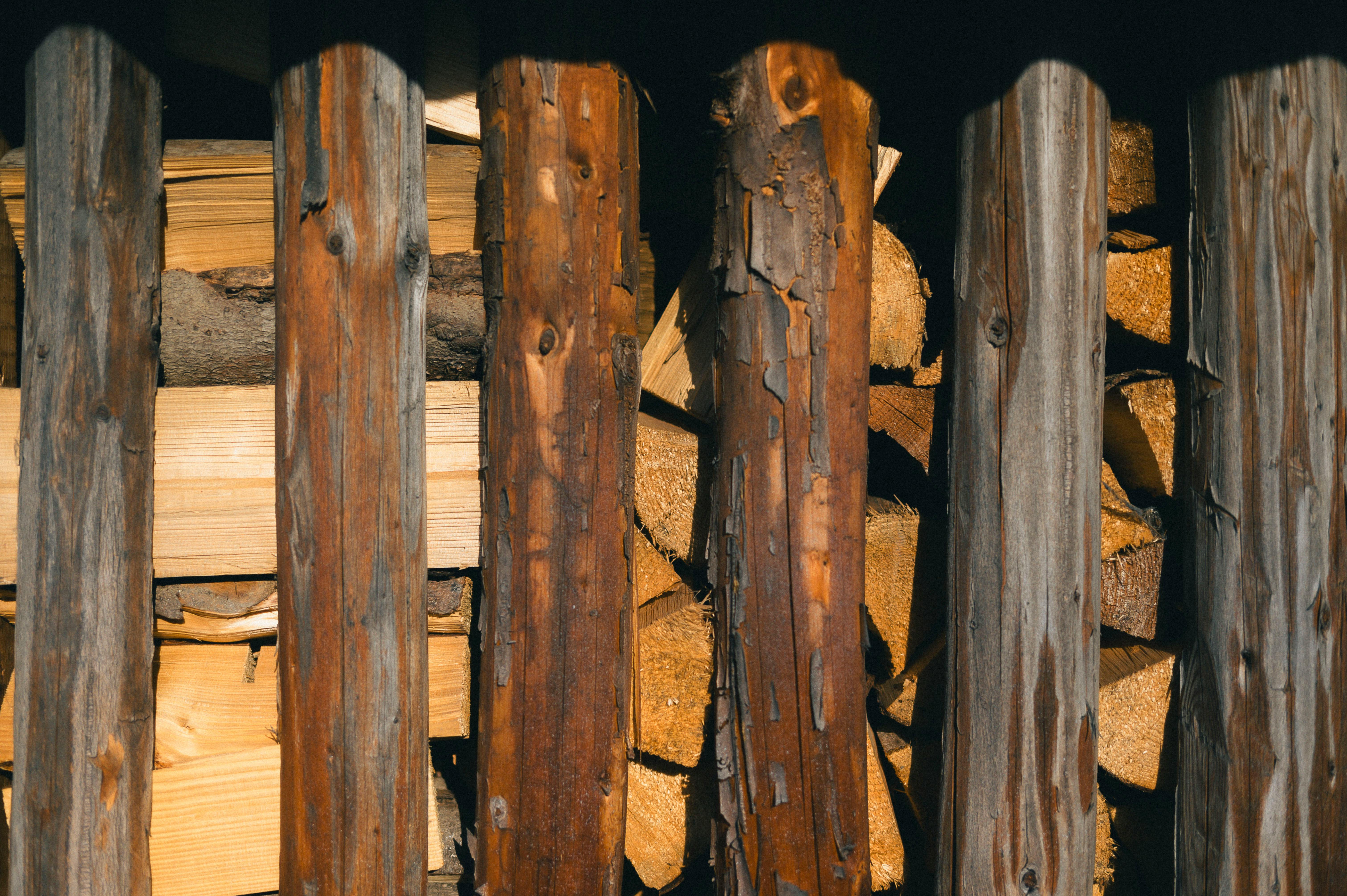 Embracing Sustainable Creative Practices for a Greener Future