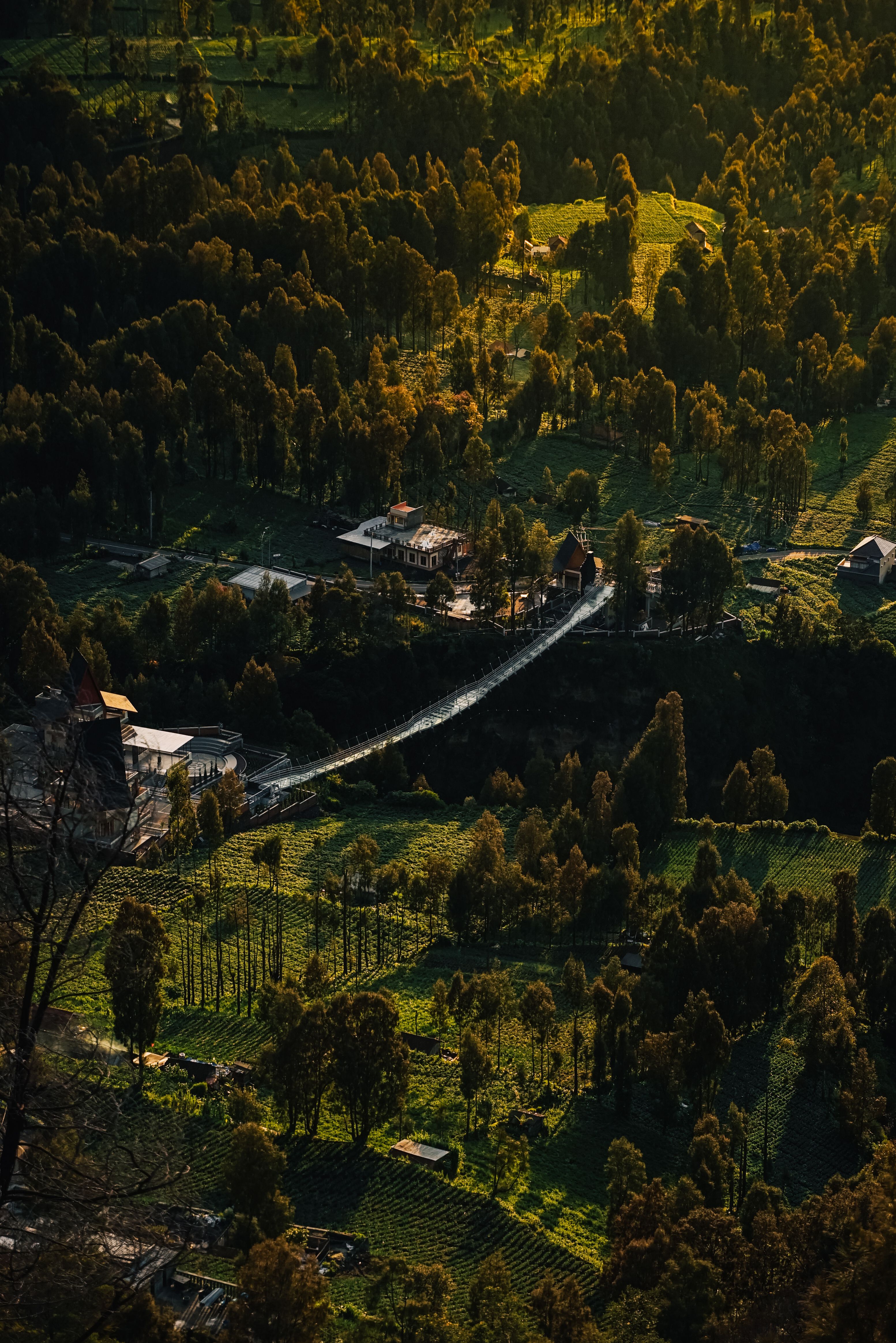 Scenic Aerial View of Lush East Java Landscape · Free Stock Photo