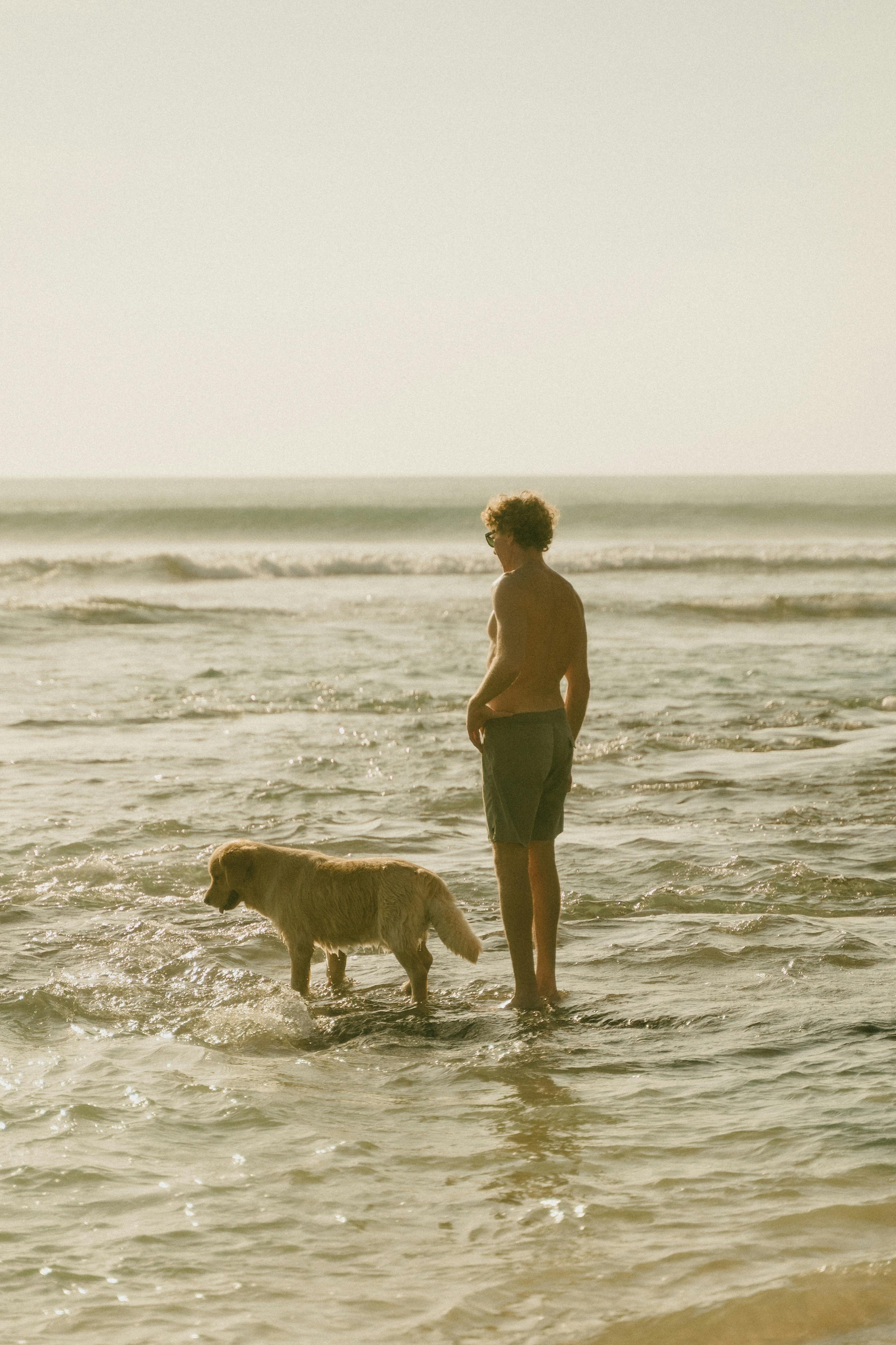 Free stock photo of bali, bali island, bali tourism