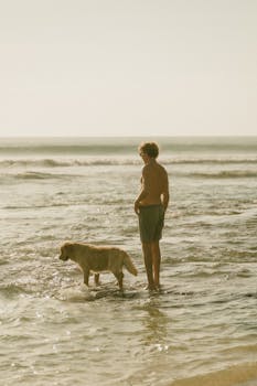 Free stock photo of bali, bali island, bali tourism