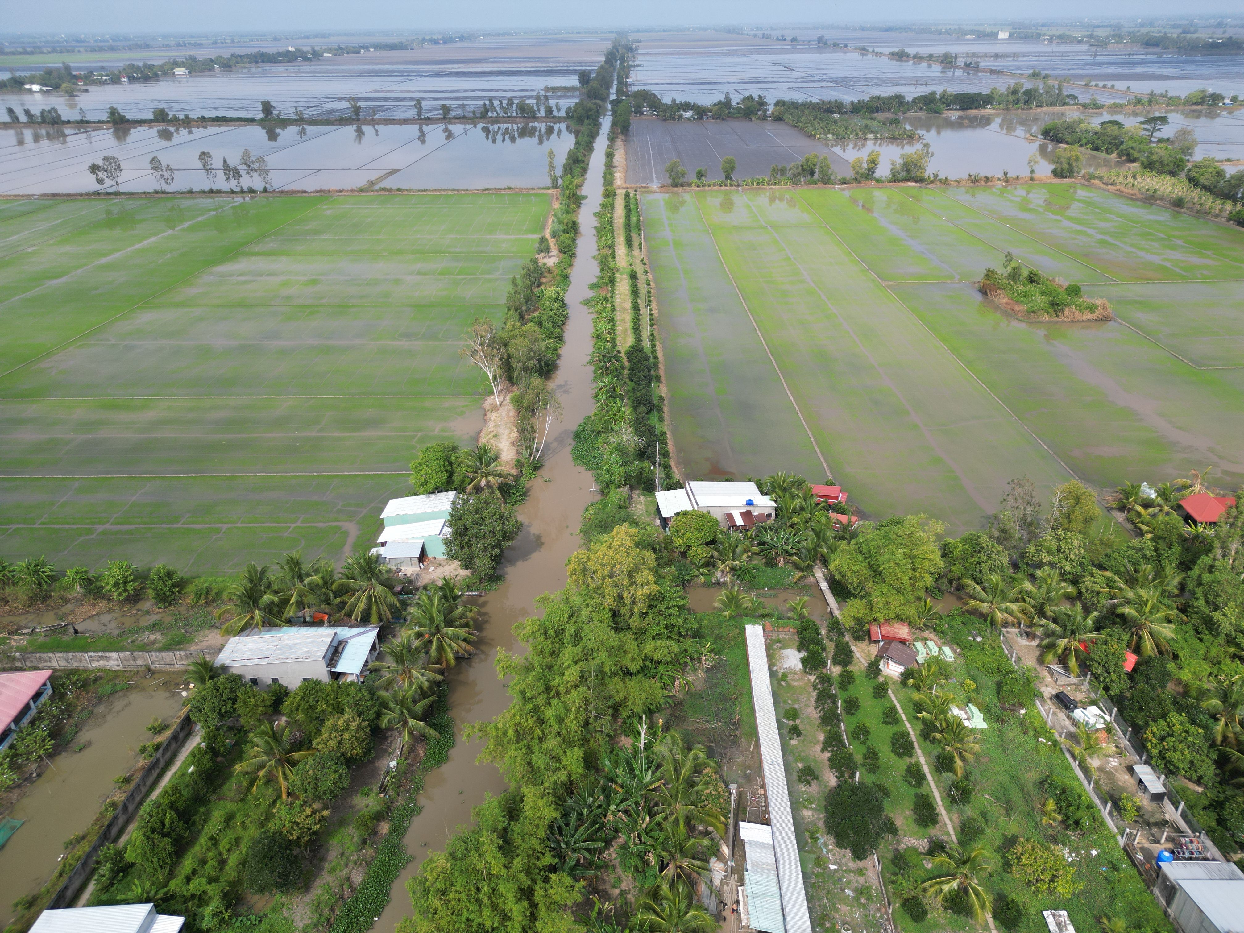 The Ultimate Mekong Delta Motorcycle Trip Guide: Route, Tips & Hidden Gems for 2026