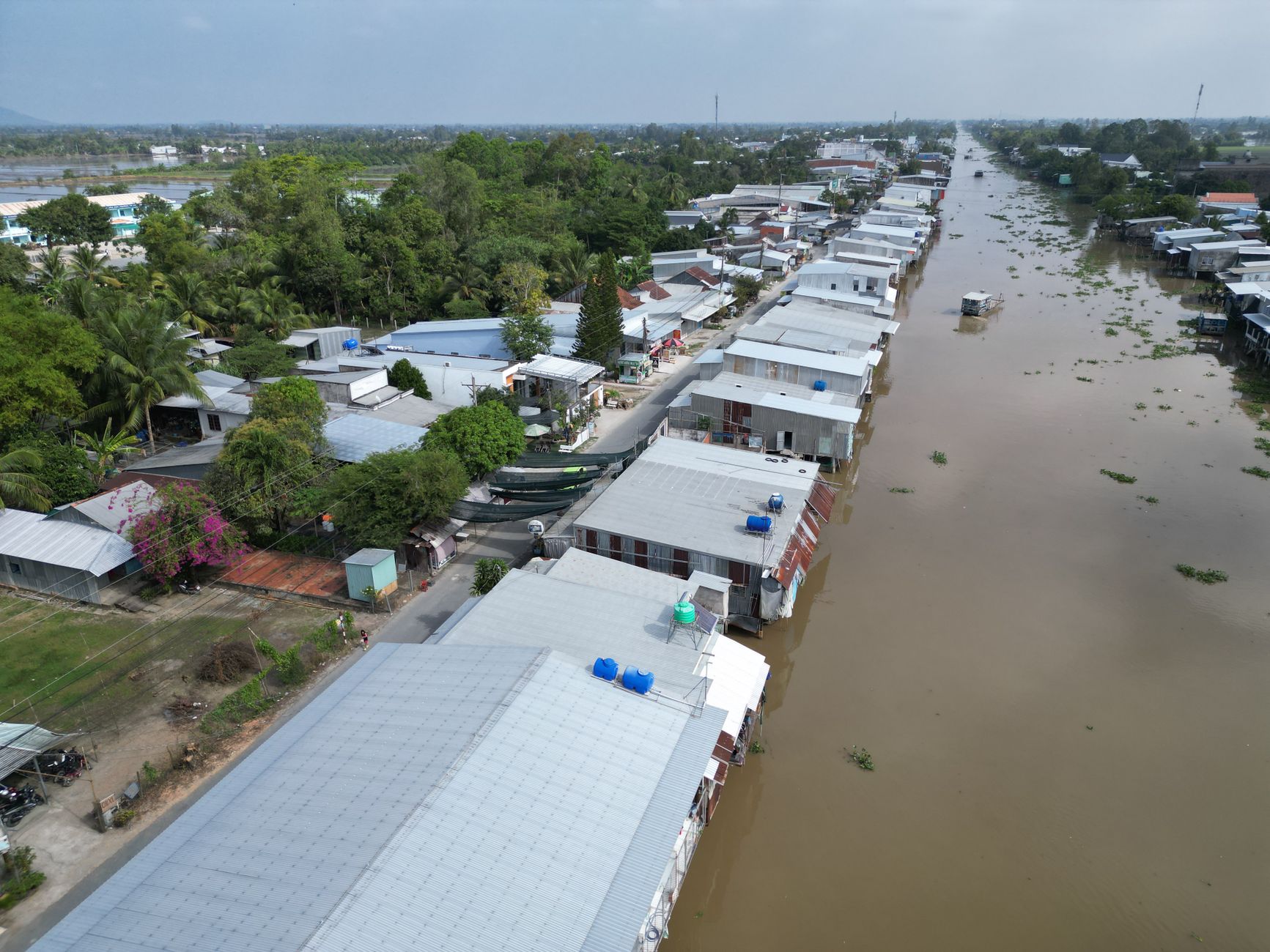 អ្នកគាំទ្រជាច្រើនកំពុងមើលការប្រកួតបាល់ទាត់ពេលយប់ នៅក្នុងកីឡដ្ឋានធំដែលមានភ្លើងភ្លឺចែងចាំង