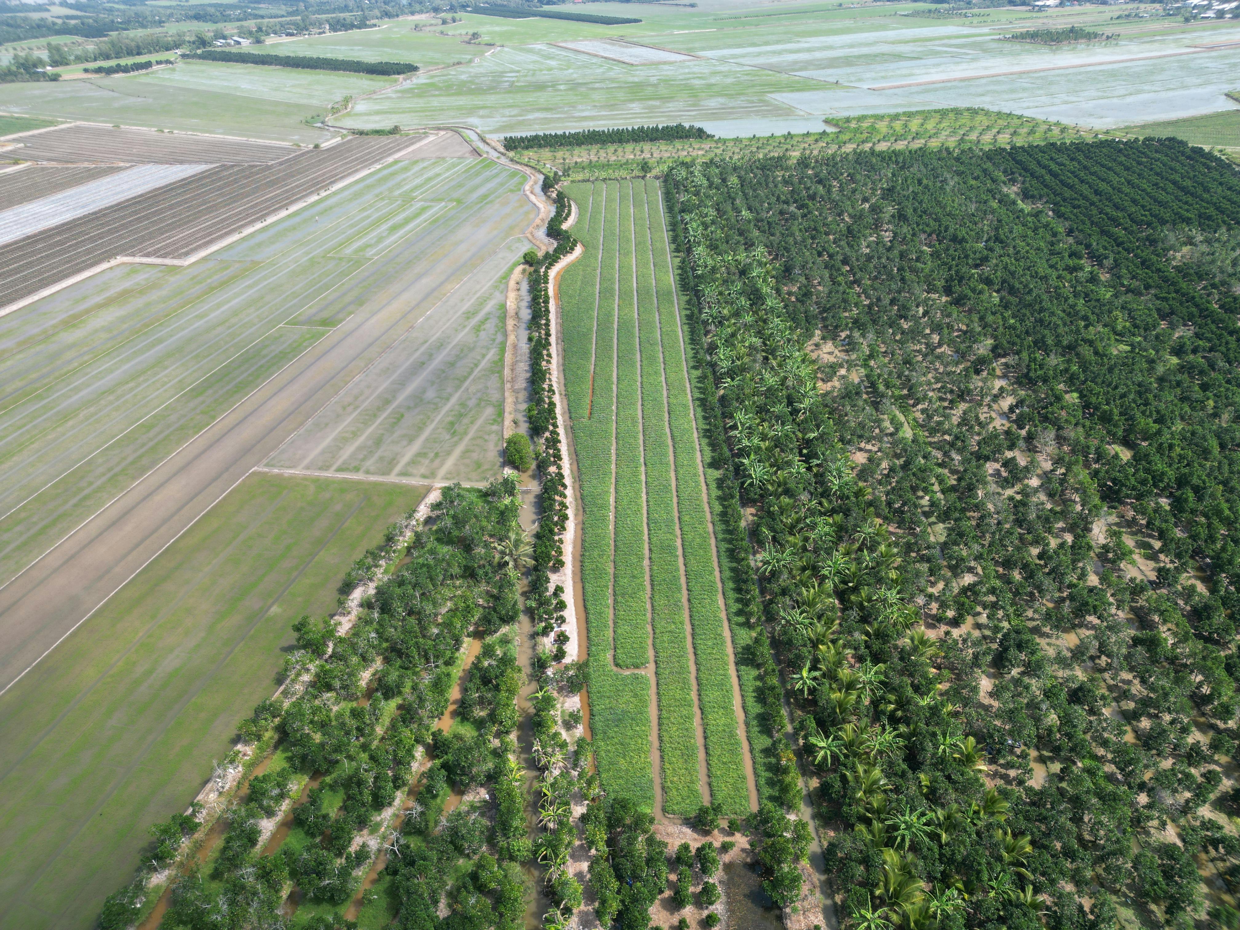 Traffic Generation Techniques