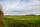 open field