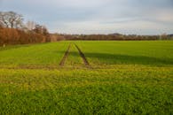 Vast Green Field Under Bright Sky