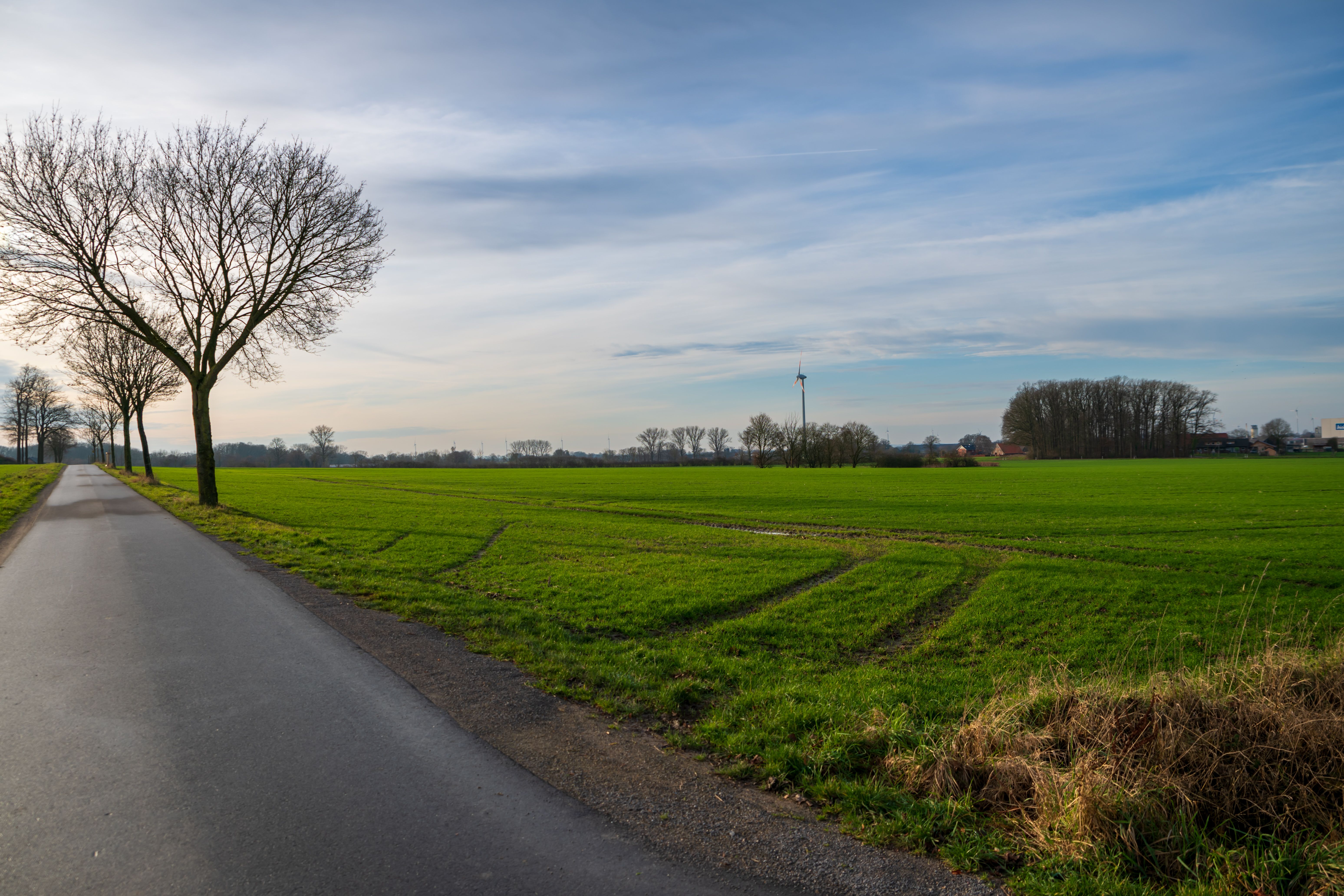 Scenic Country Road with Lush Green Fields · Free Stock Photo
