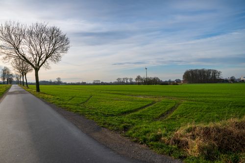 Free Idyllic countryside with a tree-lined road and expansive green fields under a bright sky. Stock Photo