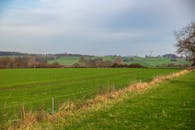 Expansive Green Fields Under Cloudy Sky