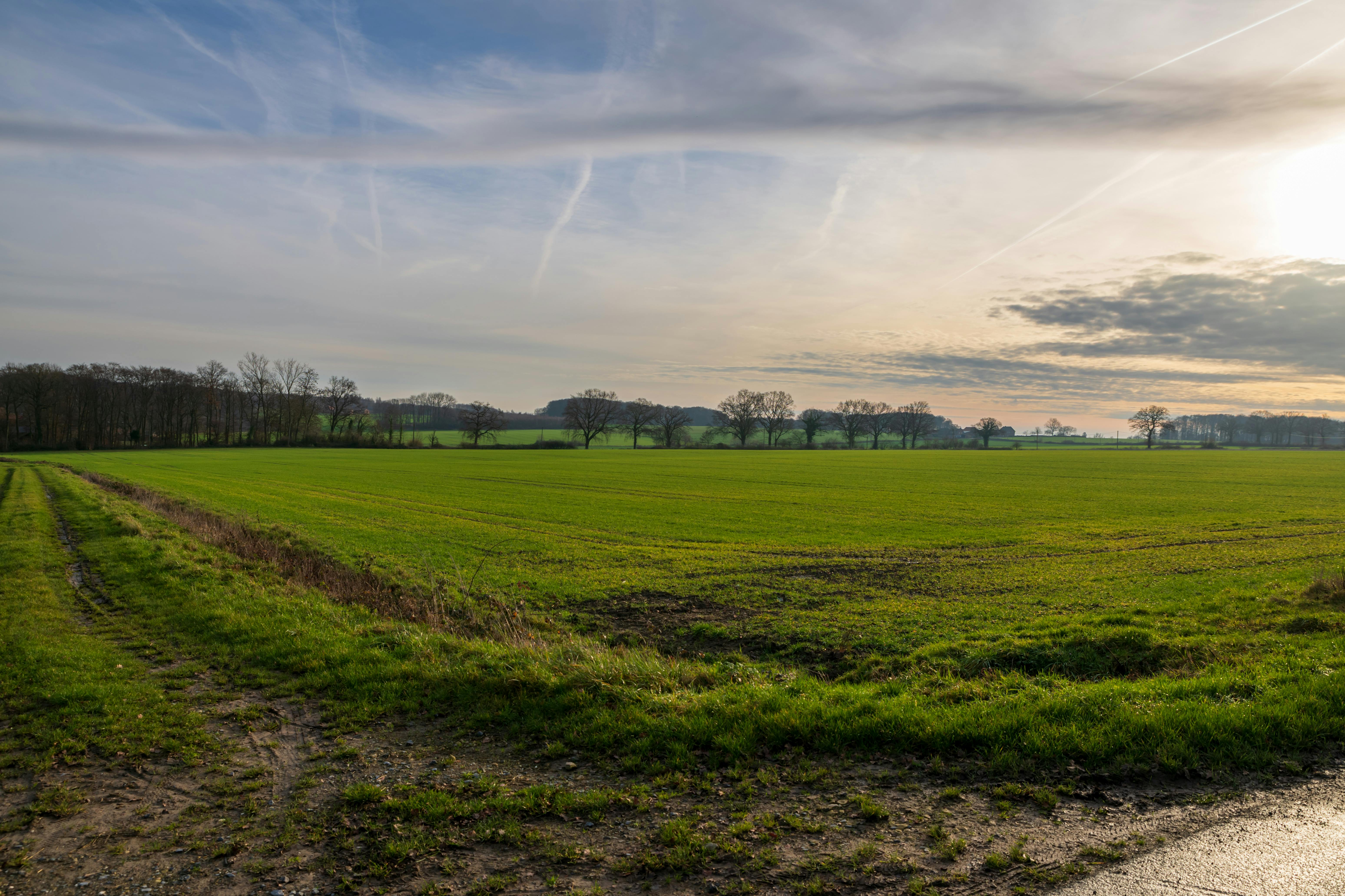 데이터 모델링 개념을 시각적으로 표현한 이미지. 복잡한 데이터 관계와 구조를 추상화하여 보여줍니다.