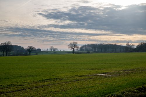 Free Expansive green field under a cloudy sky, capturing serene winter beauty. Stock Photo