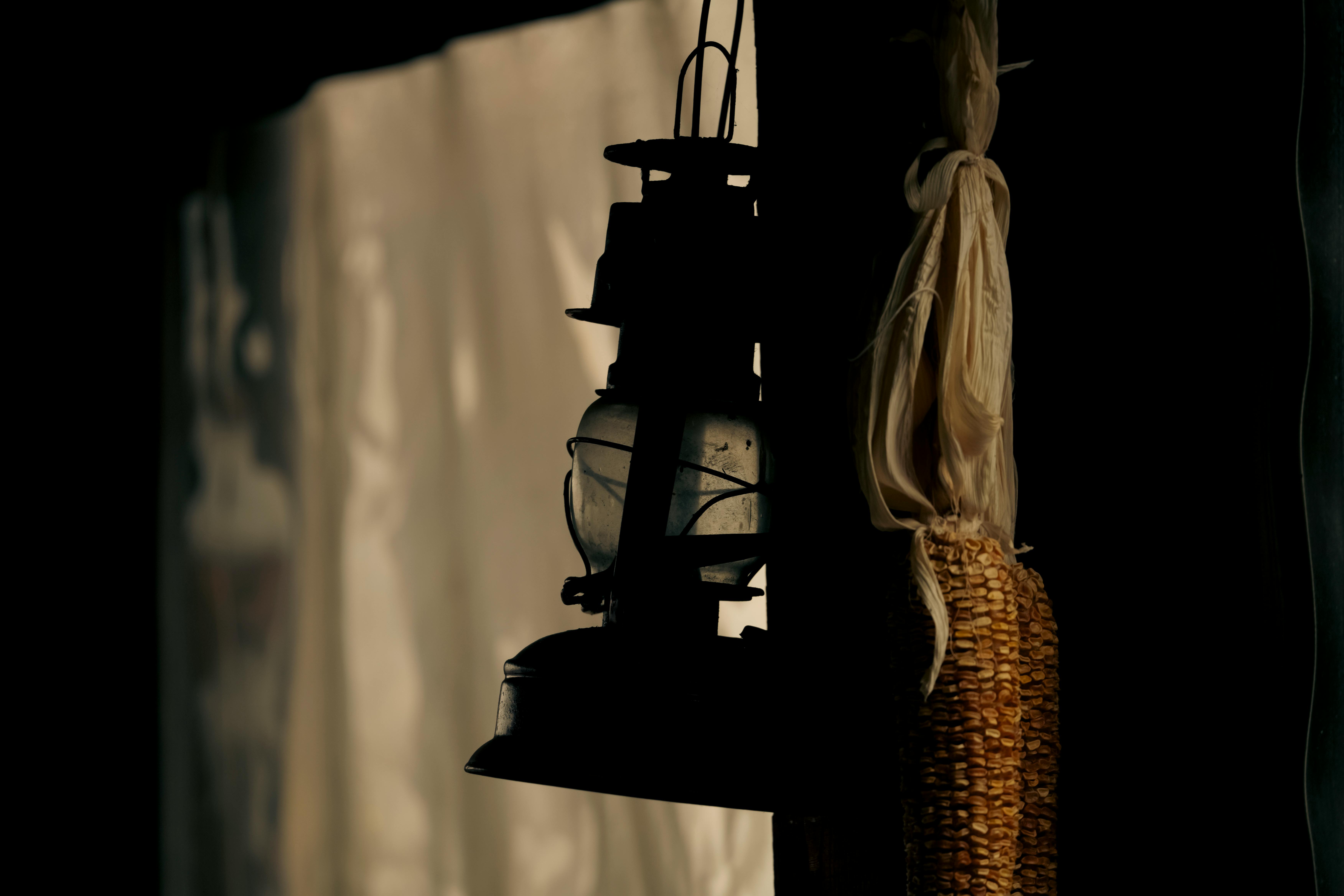 De franc Foto d'estoc gratuïta de agricultura, antic, blat de moro Foto d'estoc