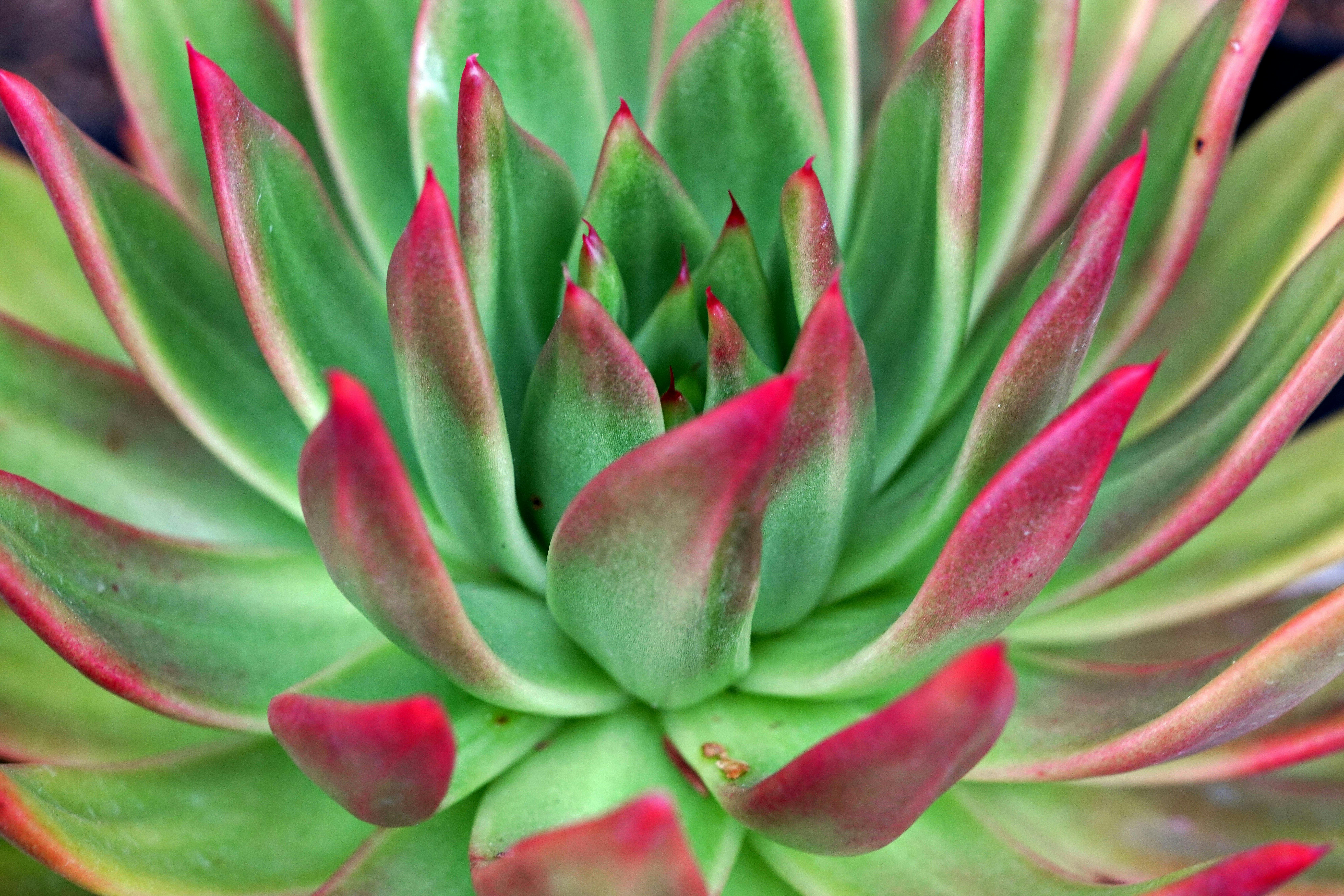 Must Know SEO Tips for Startups to Boost Your Online Presence