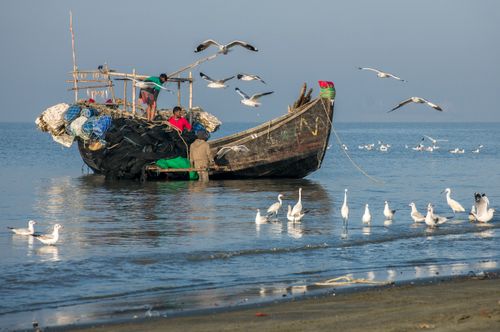 Free Fishermen working on a boat with seagulls by the Bangladesh shoreline, showcasing vibrant local culture. Stock Photo