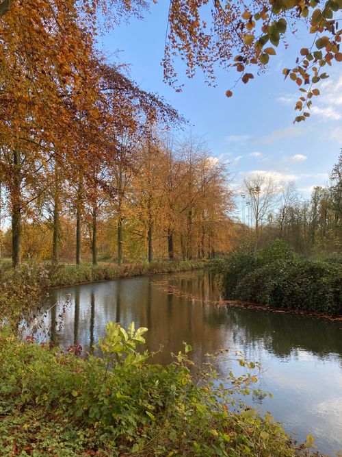 Free Tranquil autumn scene by a river with colorful foliage in Flanders, Belgium. Stock Photo