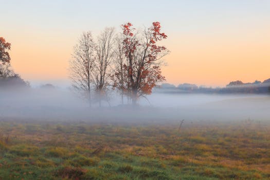 Enchanting sunrise over a foggy autumn field in Southborough, showcasing vibrant fall colors and serene landscape.