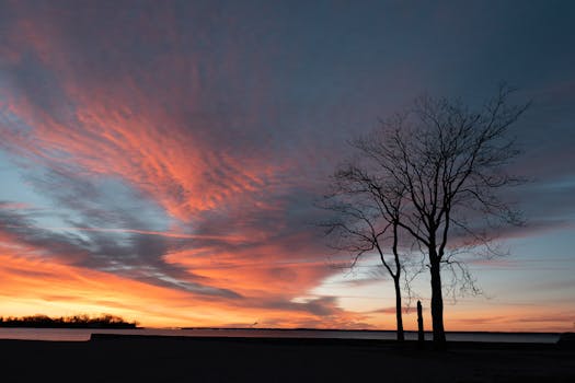 A breathtaking sunrise at Cove Island Park, Stamford, with vibrant pink skies and silhouetted trees.