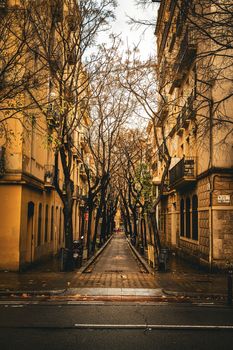 Peaceful street in Barcelona's Gothic Quarter during early winter with bare trees and historic buildings.