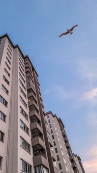 High-rise residential buildings against a clear blue sky with a seagull in flight, representing urban life and tranquility.