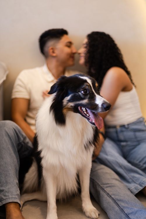 Free A couple sharing a moment with their dog indoors, showcasing love and companionship. Stock Photo