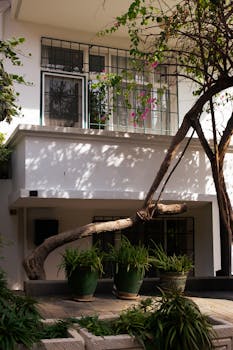 Modern house exterior with lush plants and a unique leaning tree in daylight.