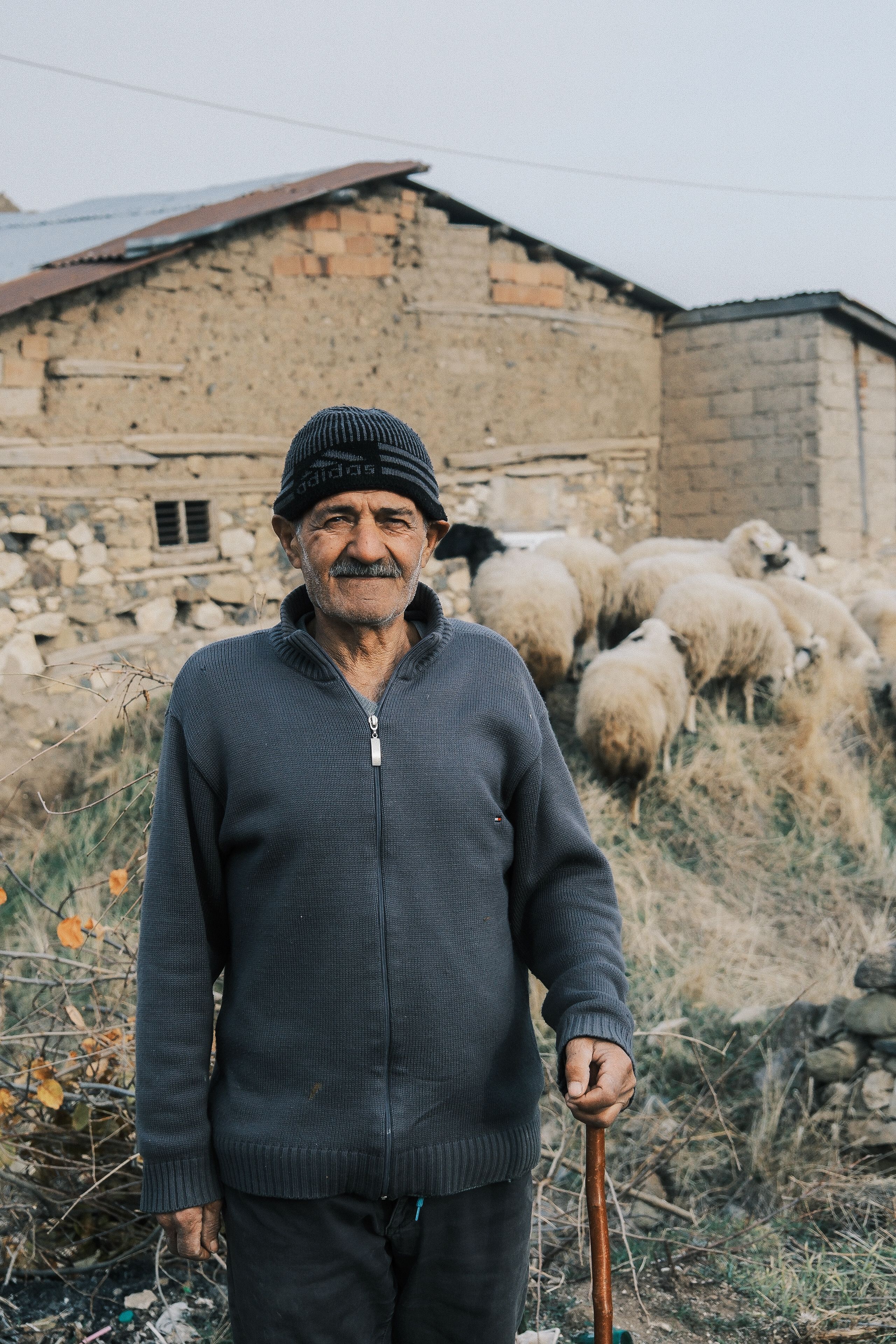 Photo Of Old Man With Herd Of Sheep · Free Stock Photo