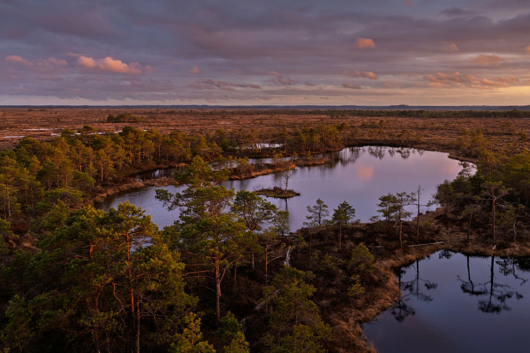 How to Experience Soomaa's Fifth Season: Flooded Forest Canoeing Tips