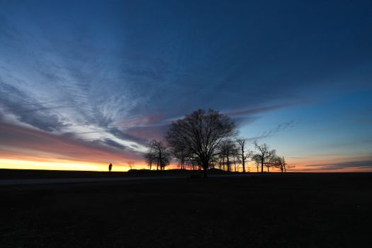Silhouette of trees and person against a vibrant twilight backdrop, creating a serene landscape.